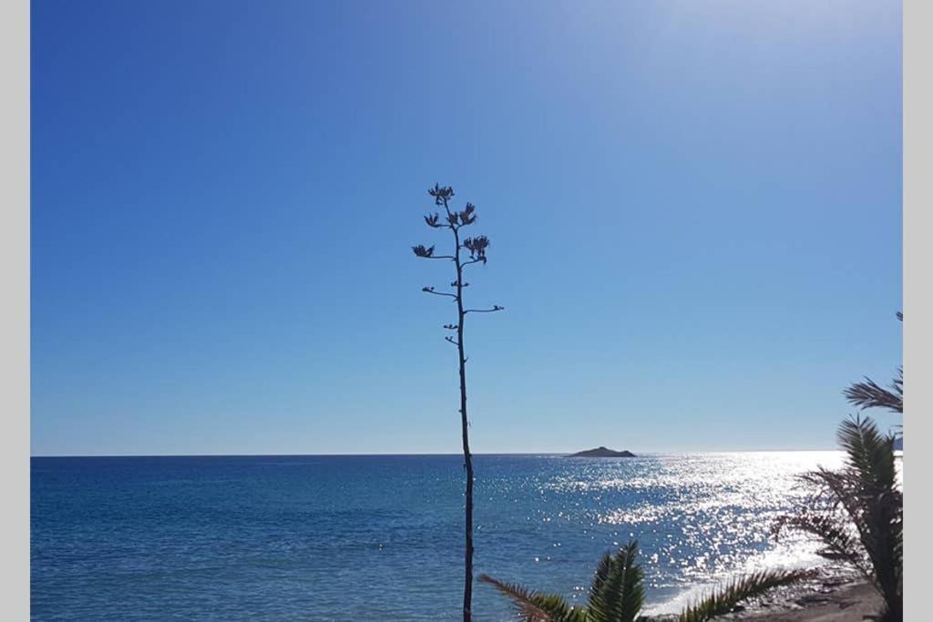 Pilki Apartamento Carboneras Exteriér fotografie